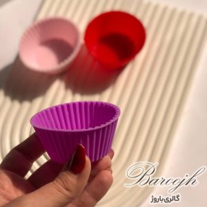 شات سنگی صدف حلزونی دریایی