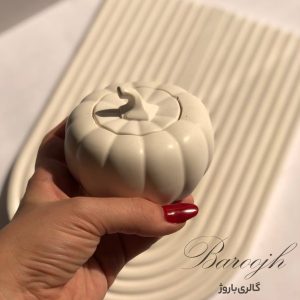 شات سنگی ستاره دریایی