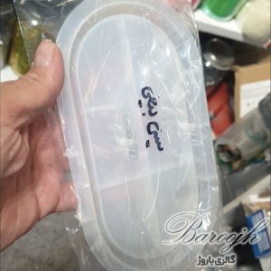 شات سنگی صدف حلزونی دریایی